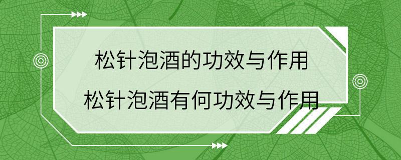 松针泡酒的功效与作用 松针泡酒有何功效与作用