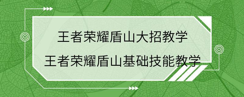 王者荣耀盾山大招教学 王者荣耀盾山基础技能教学