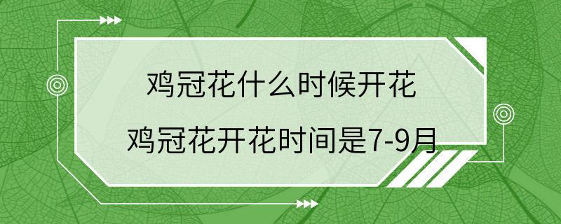 鸡冠花什么时候开花 鸡冠花开花时间是7-9月