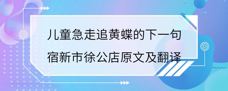 儿童急走追黄蝶的下一句 宿新市徐公店原文及翻译