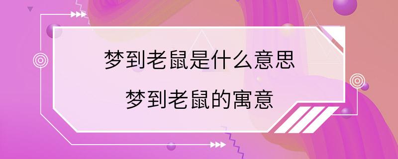 梦到老鼠是什么意思 梦到老鼠的寓意