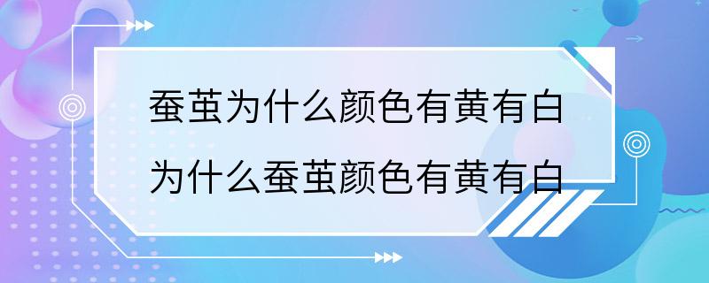 蚕茧为什么颜色有黄有白 为什么蚕茧颜色有黄有白