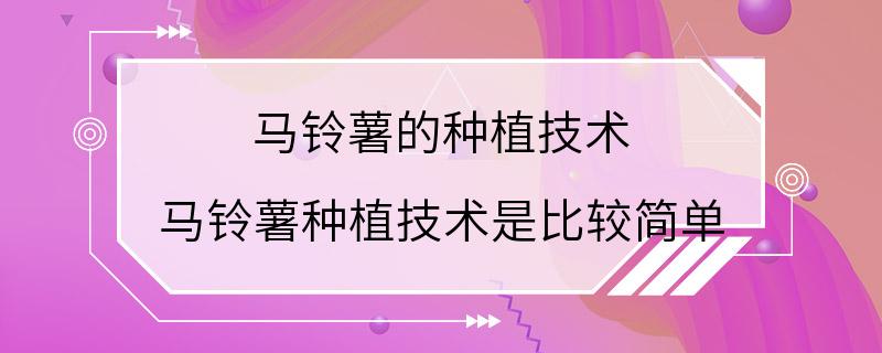 马铃薯的种植技术 马铃薯种植技术是比较简单