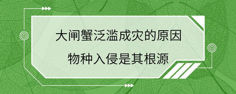 大闸蟹泛滥成灾的原因 物种入侵是其根源