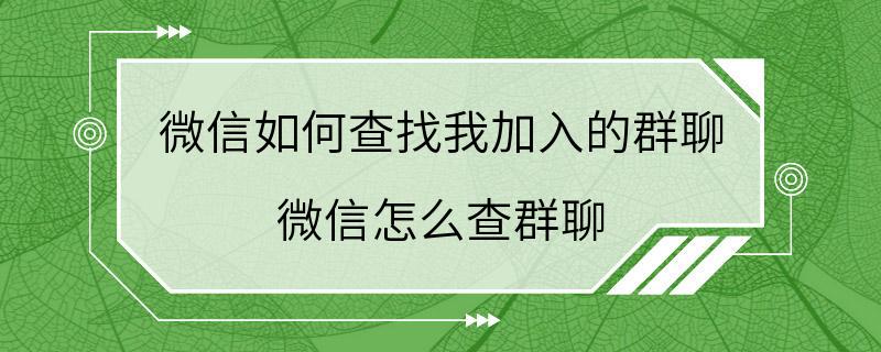 微信如何查找我加入的群聊 微信怎么查群聊