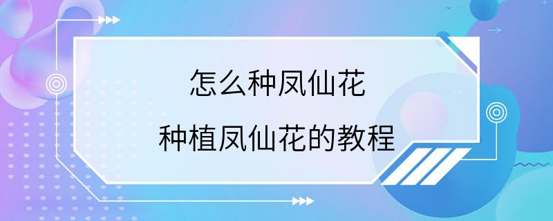 怎么种凤仙花 种植凤仙花的教程