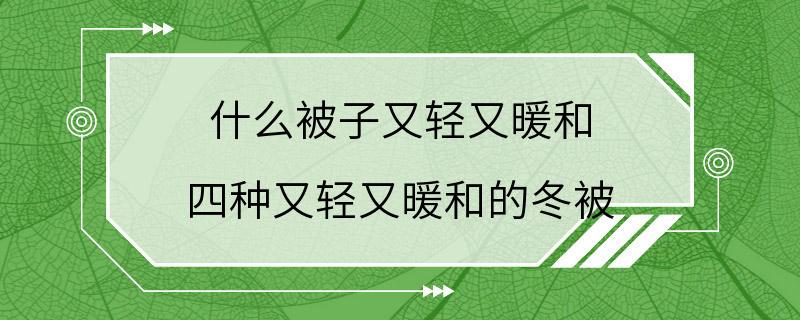 什么被子又轻又暖和 四种又轻又暖和的冬被