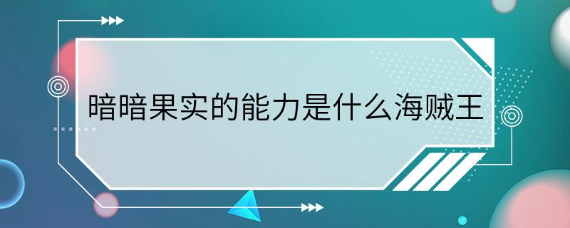 暗暗果实的能力是什么海贼王