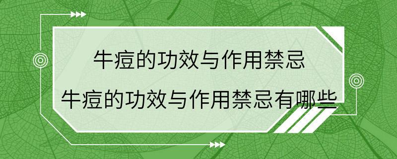 牛痘的功效与作用禁忌 牛痘的功效与作用禁忌有哪些