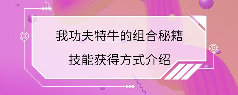 我功夫特牛的组合秘籍 技能获得方式介绍