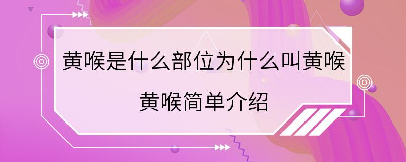 黄喉是什么部位为什么叫黄喉 黄喉简单介绍