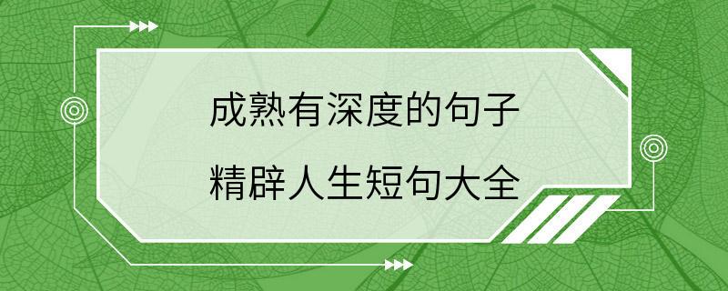 成熟有深度的句子 精辟人生短句大全