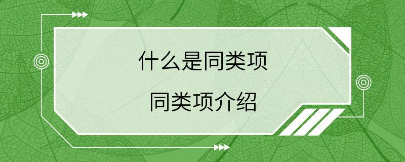 什么是同类项 同类项介绍