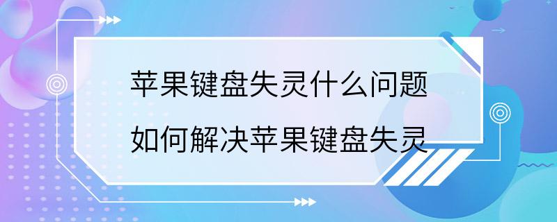 苹果键盘失灵什么问题 如何解决苹果键盘失灵