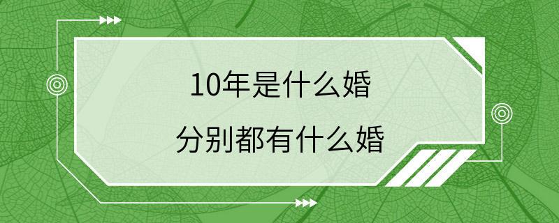 10年是什么婚 分别都有什么婚