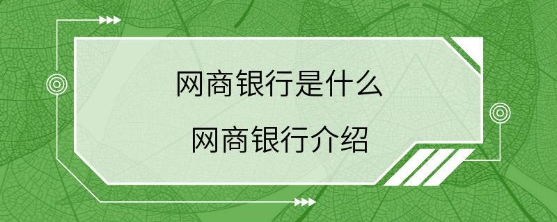 网商银行是什么 网商银行介绍