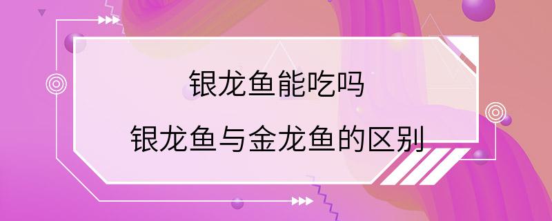 银龙鱼能吃吗 银龙鱼与金龙鱼的区别