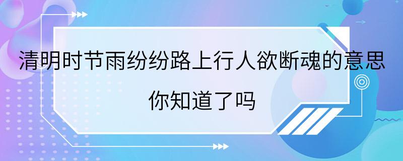 清明时节雨纷纷路上行人欲断魂的意思 你知道了吗