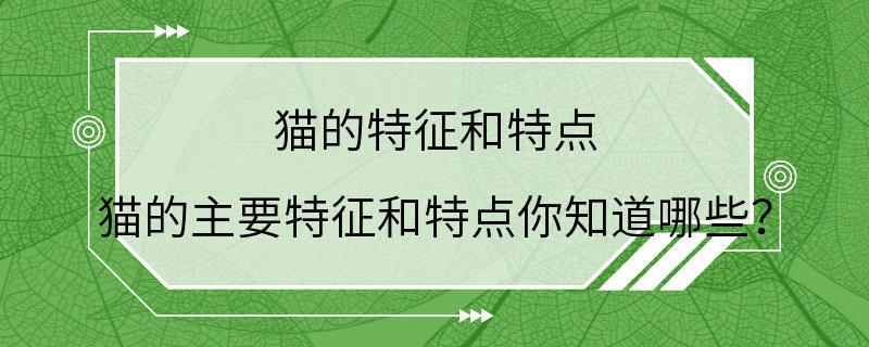 猫的特征和特点 猫的主要特征和特点你知道哪些？