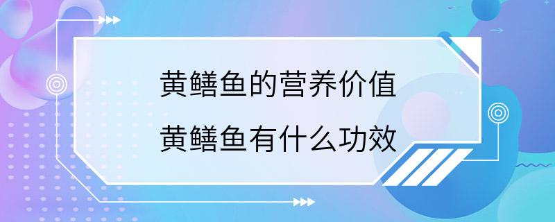 黄鳝鱼的营养价值 黄鳝鱼有什么功效