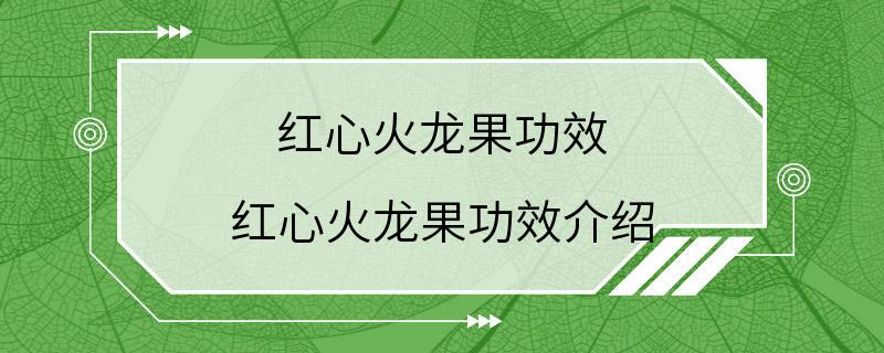 红心火龙果功效 红心火龙果功效介绍