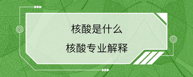 核酸是什么 核酸专业解释