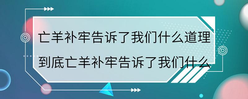 亡羊补牢告诉了我们什么道理 到底亡羊补牢告诉了我们什么