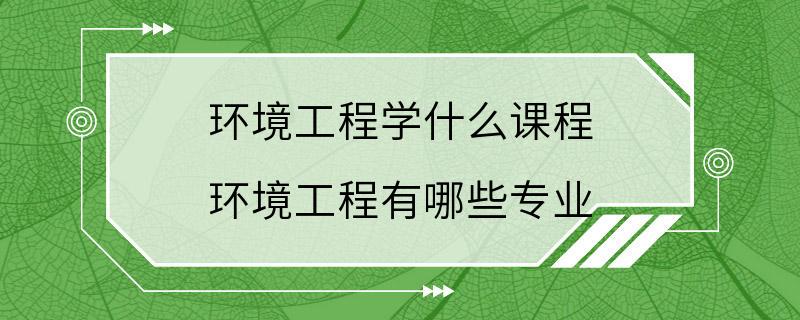 环境工程学什么课程 环境工程有哪些专业