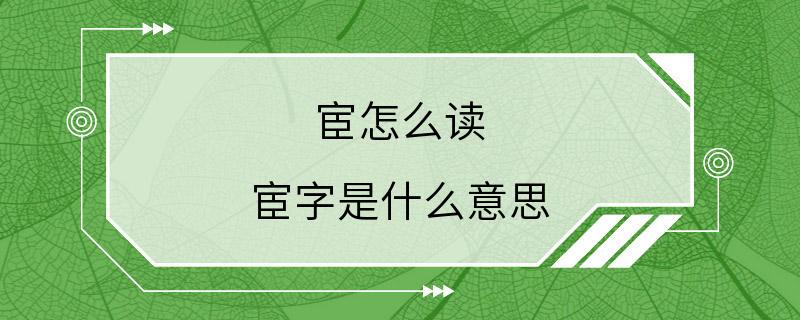 宦怎么读 宦字是什么意思