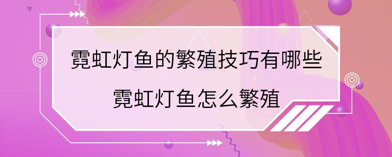 霓虹灯鱼的繁殖技巧有哪些 霓虹灯鱼怎么繁殖