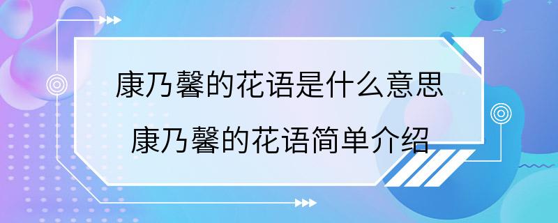 康乃馨的花语是什么意思 康乃馨的花语简单介绍