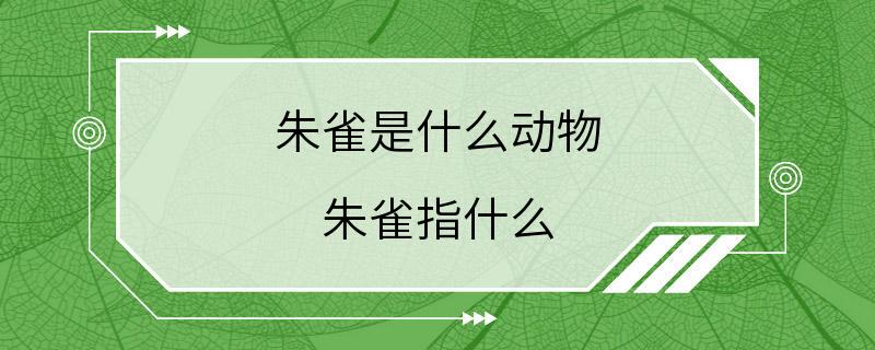 朱雀是什么动物 朱雀指什么