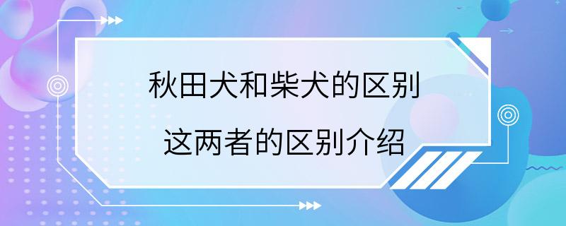 秋田犬和柴犬的区别 这两者的区别介绍