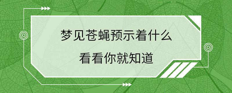 梦见苍蝇预示着什么 看看你就知道