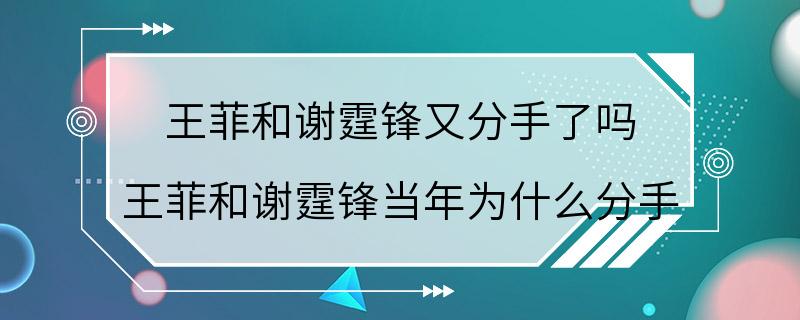 王菲和谢霆锋又分手了吗 王菲和谢霆锋当年为什么分手