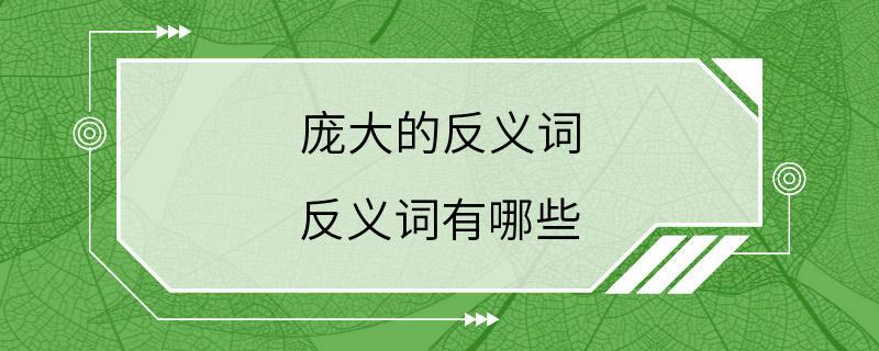 庞大的反义词 反义词有哪些