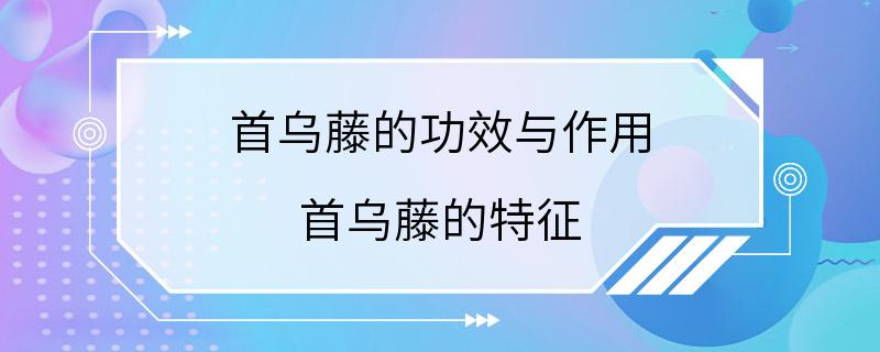 首乌藤的功效与作用 首乌藤的特征