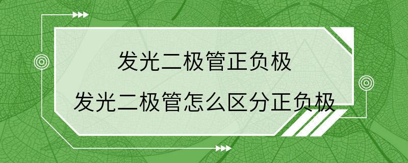 发光二极管正负极 发光二极管怎么区分正负极