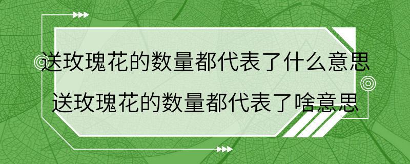 送玫瑰花的数量都代表了什么意思 送玫瑰花的数量都代表了啥意思