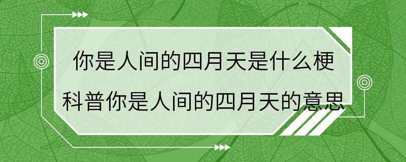 你是人间的四月天是什么梗 科普你是人间的四月天的意思