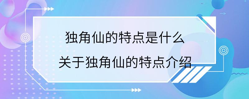 独角仙的特点是什么 关于独角仙的特点介绍