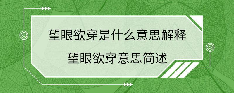 望眼欲穿是什么意思解释 望眼欲穿意思简述