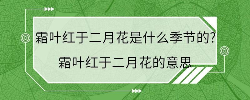 霜叶红于二月花是什么季节的? 霜叶红于二月花的意思