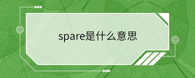 spare是什么意思