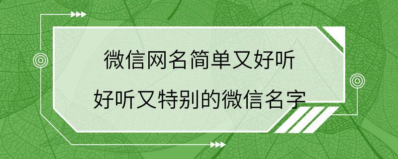 微信网名简单又好听 好听又特别的微信名字