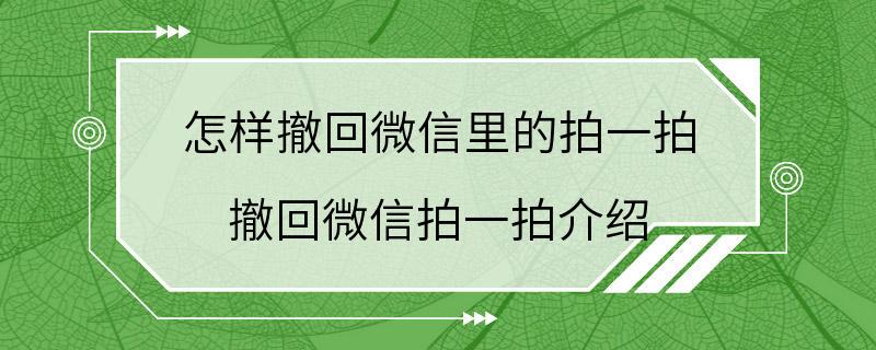 怎样撤回微信里的拍一拍 撤回微信拍一拍介绍