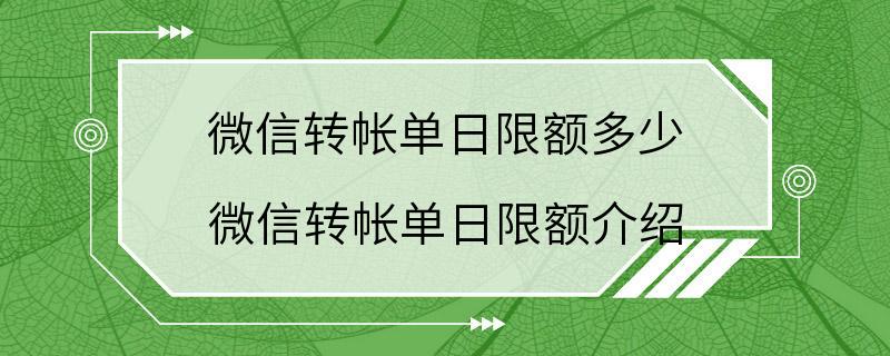 微信转帐单日限额多少 微信转帐单日限额介绍