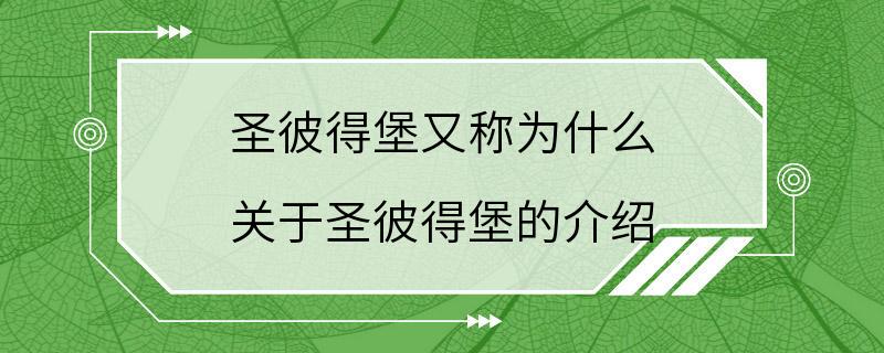 圣彼得堡又称为什么 关于圣彼得堡的介绍