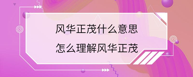 风华正茂什么意思 怎么理解风华正茂