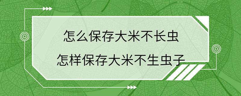 怎么保存大米不长虫 怎样保存大米不生虫子